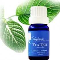 精油專賣 Shylina 100%茶樹精油