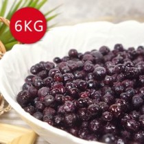【幸美生技】進口冷凍野生藍莓2包組(1000g/包)