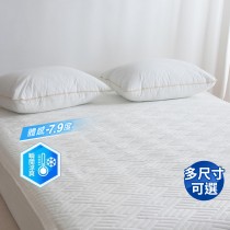 [韓國 Habby&Deco] 極致酷涼SuperCool可水洗抗菌涼感墊(涼墊/冰涼墊/睡墊/地墊)（雙人Q 160X210cm）